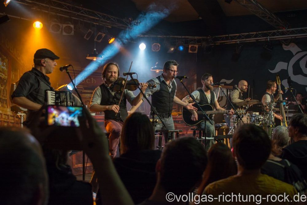 DSC_1532-1024x683 Fiddlers Green - Sumpfblume Hameln 21.12.2017
