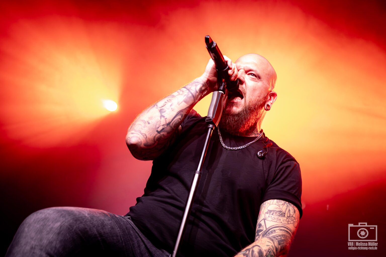 Goitzsche Festival 2025 ⋆ Vollgas Richtung Rock