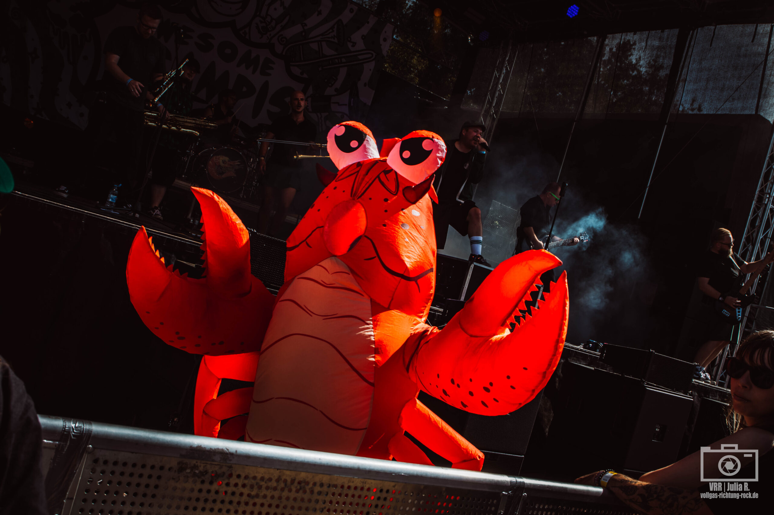 11_Awsome-Scampies_Pell-Mell-Festival-2025_Samstag_Julia-Rathgeber-9-scaled Pell Mell Festival – lautstark und familiär, bereits seit fast zwei Jahrzehnten