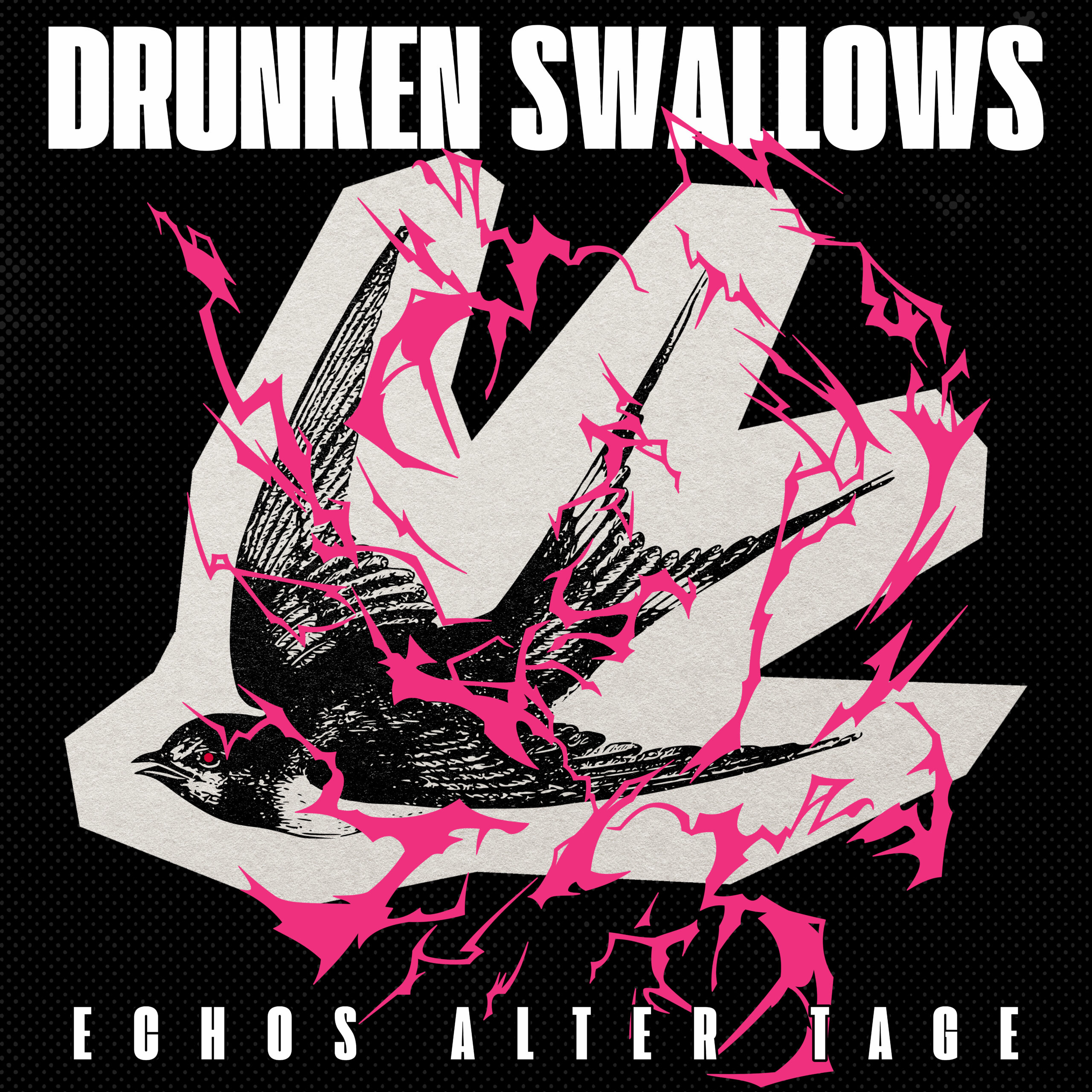 Drunken-Swallows-ECHOS-ALTER-TAGE-scaled Drunken Swallows – ECHO ALTER TAGE – VÖ 17.04.2026